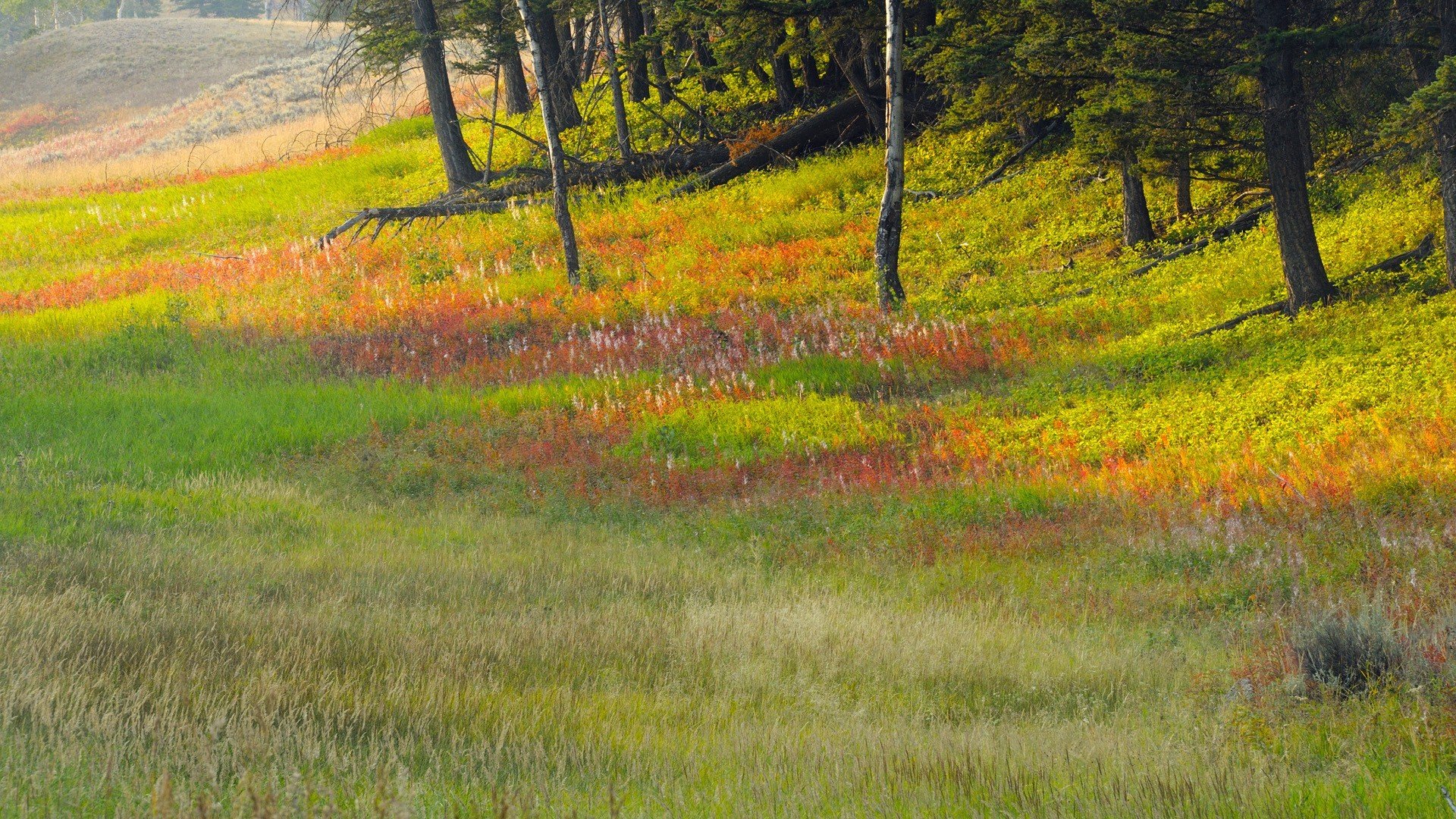 风景,美景,大气,景色,儿童桌面专用