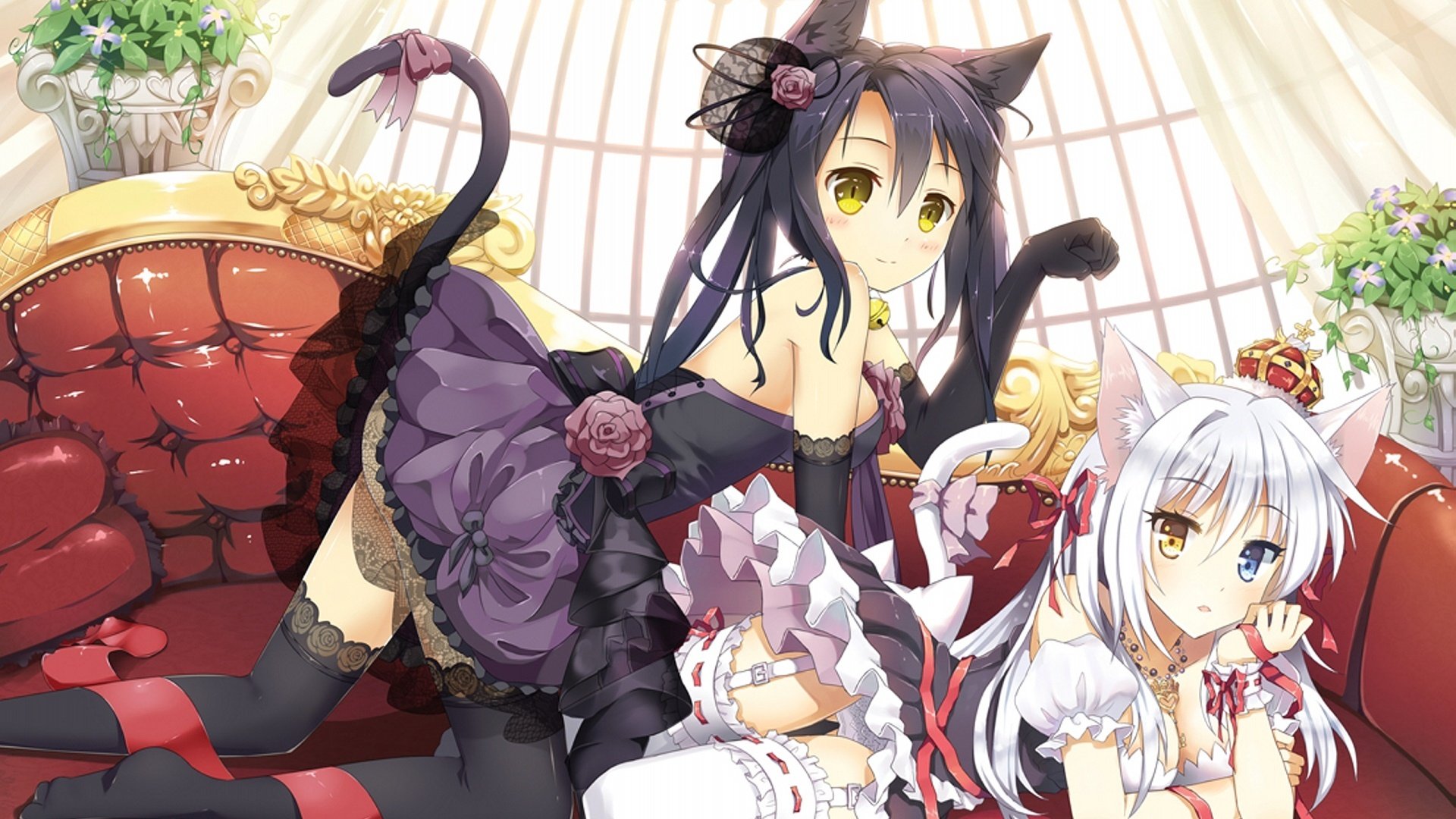 动漫,动漫少女,猫女郎,女仆,可爱,儿童桌面专用