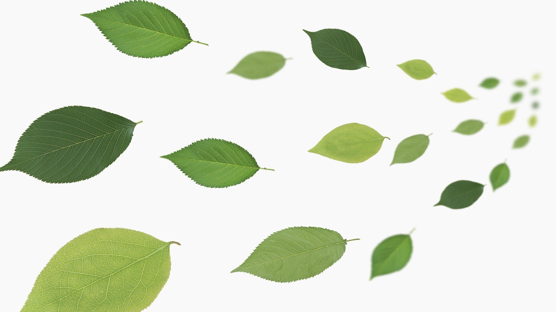 小清新,舒缓压力,1月25日,儿童桌面专用