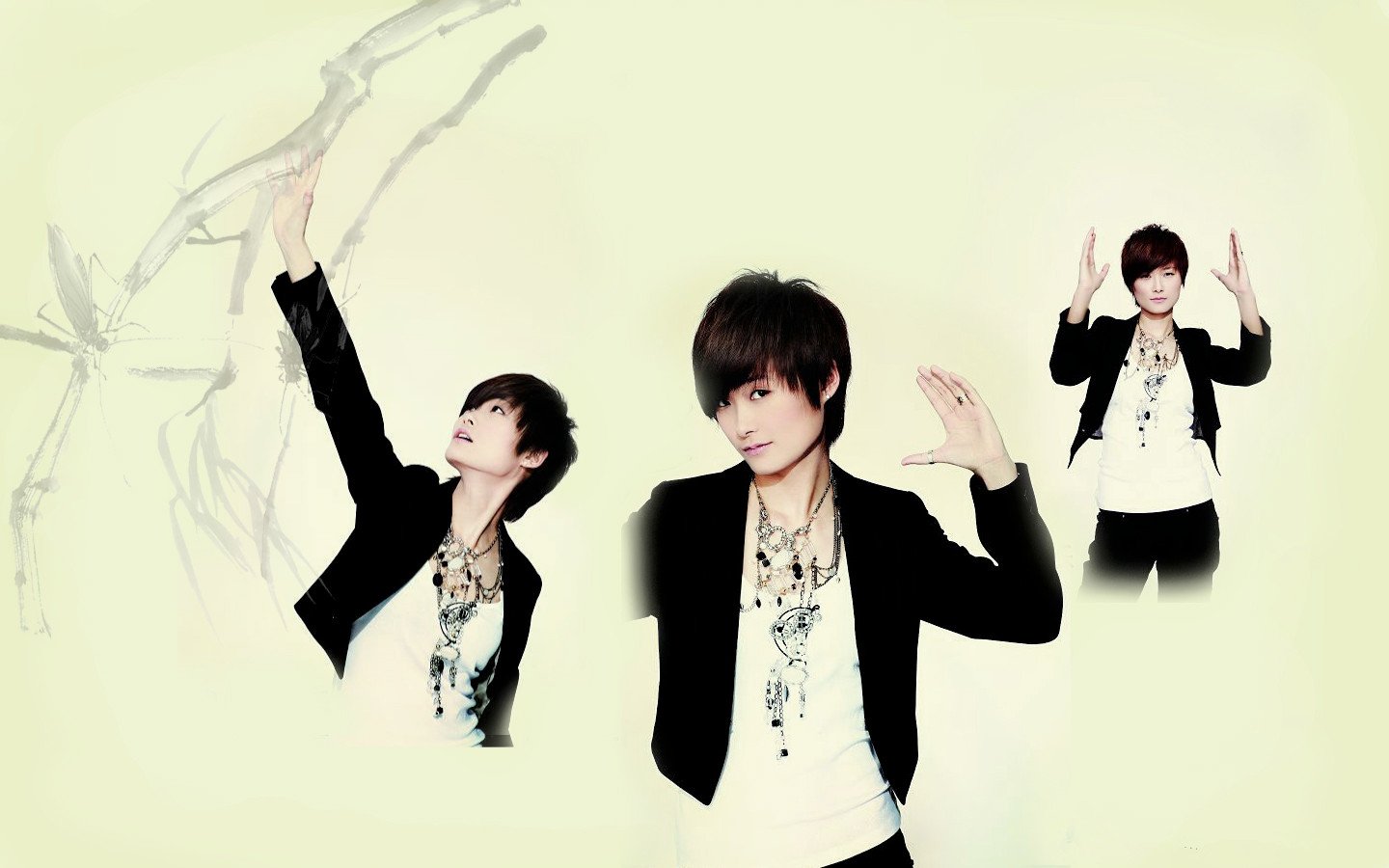 女明星,李宇春,一月七日