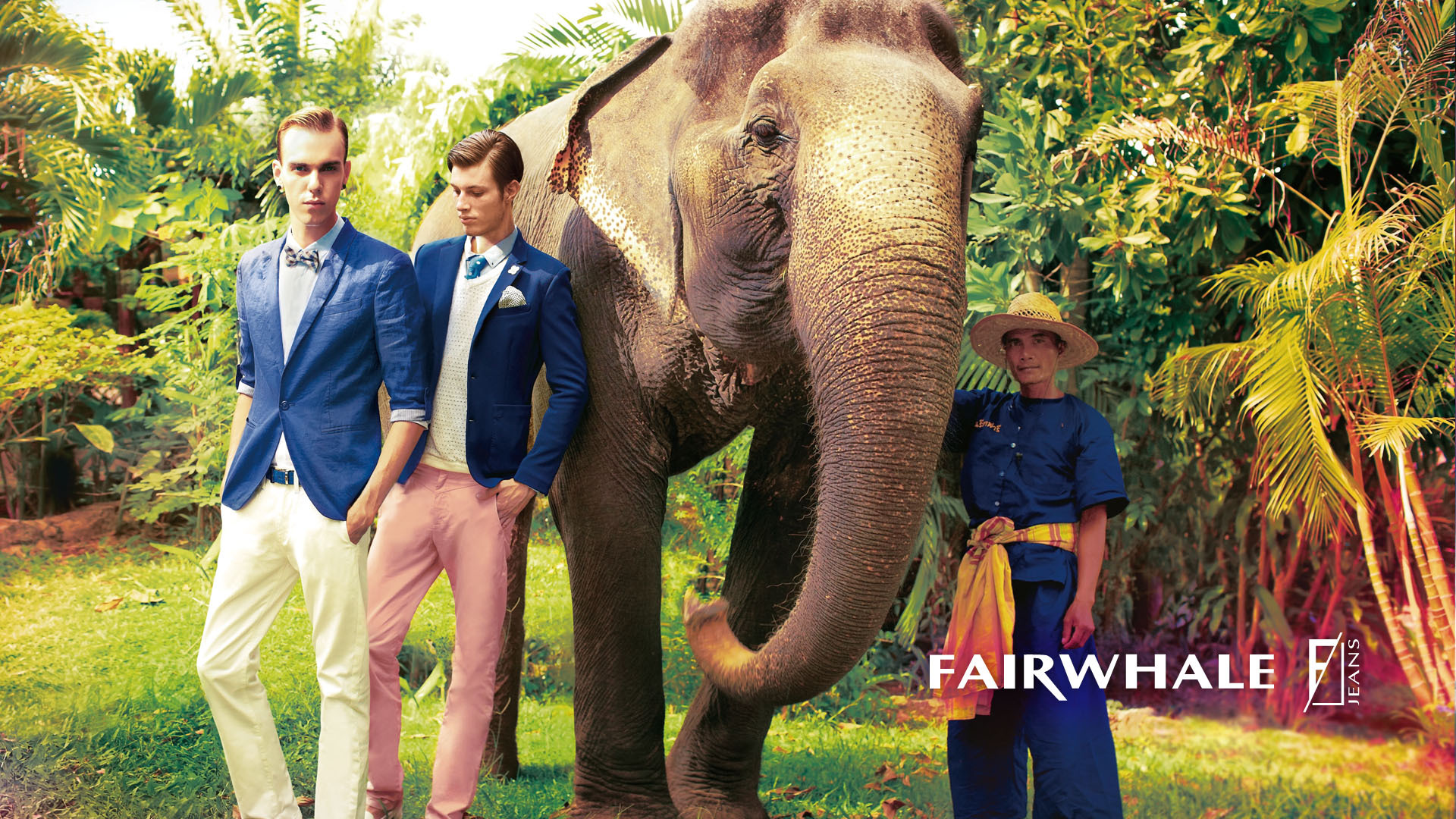 马克华菲,360壁纸,FairWhale,1月24日