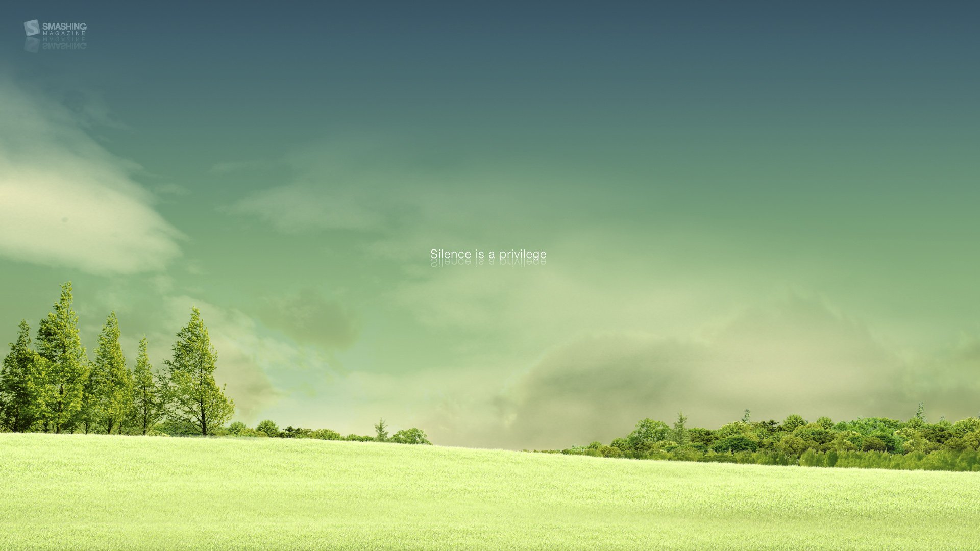 小清新,护眼壁纸,十二月三十一日,儿童桌面专用