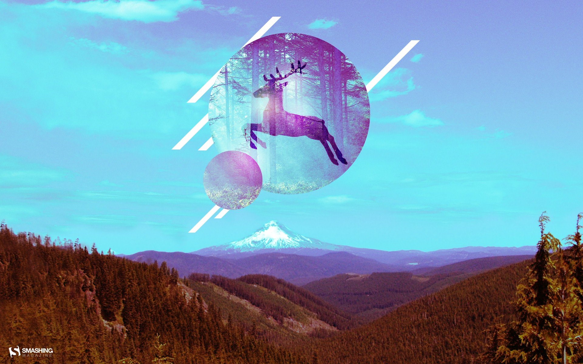 炫酷,设计,炫彩,一月一日,儿童桌面专用