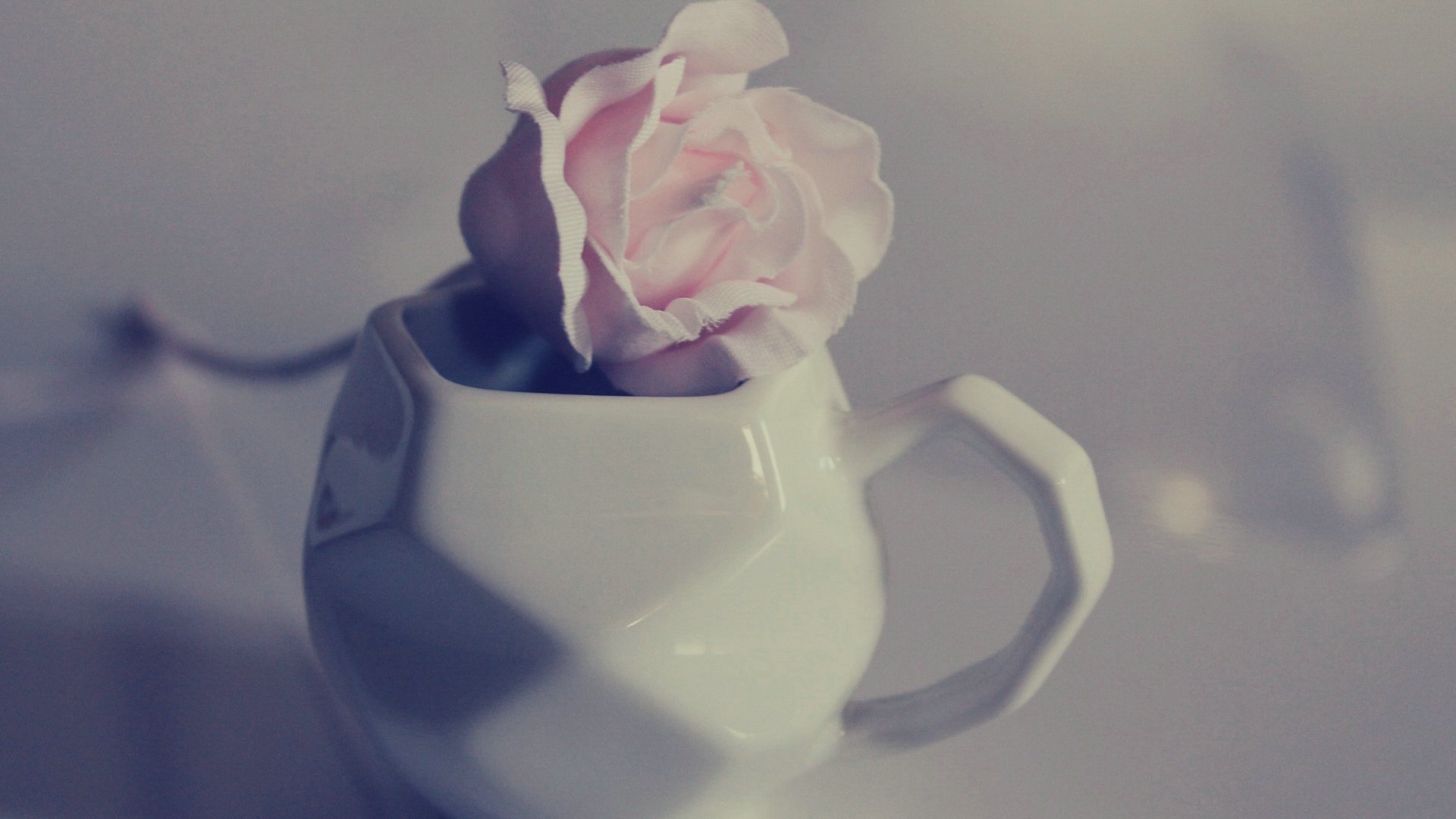 爱情美图,唯美温馨,玫瑰