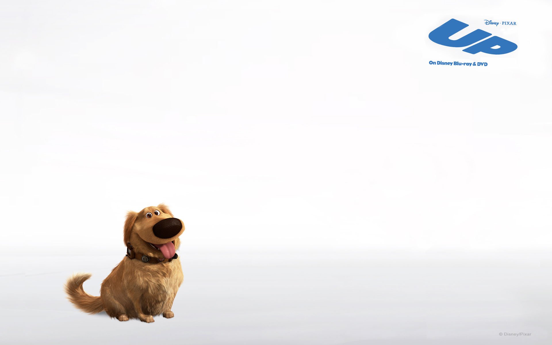 影视,飞屋环游记,一月十一日