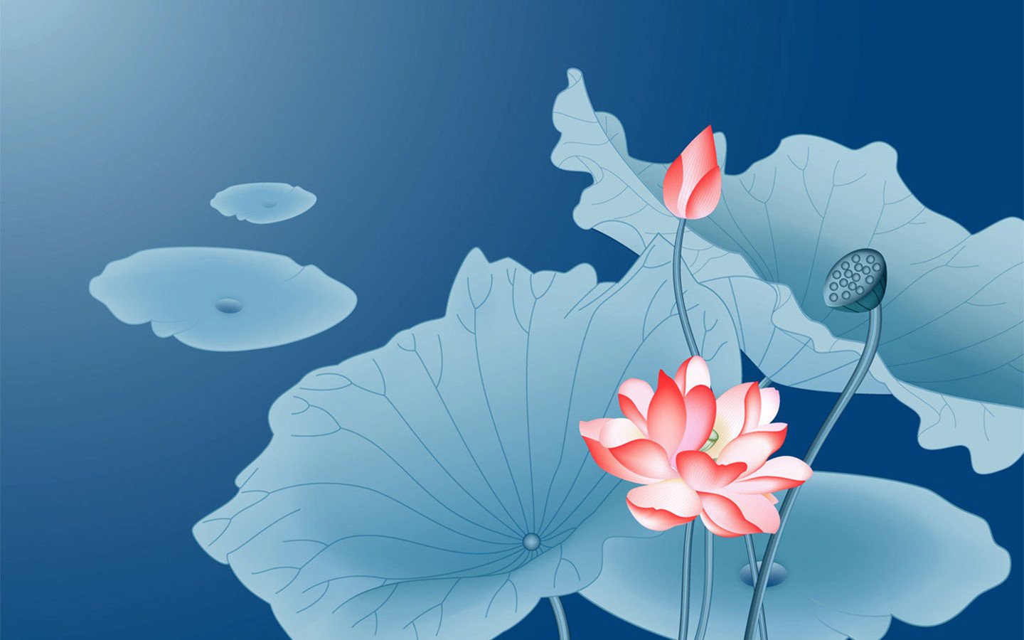 小清新,清新淡雅,荷花,国画,中国风,1月21日,儿童桌面专用