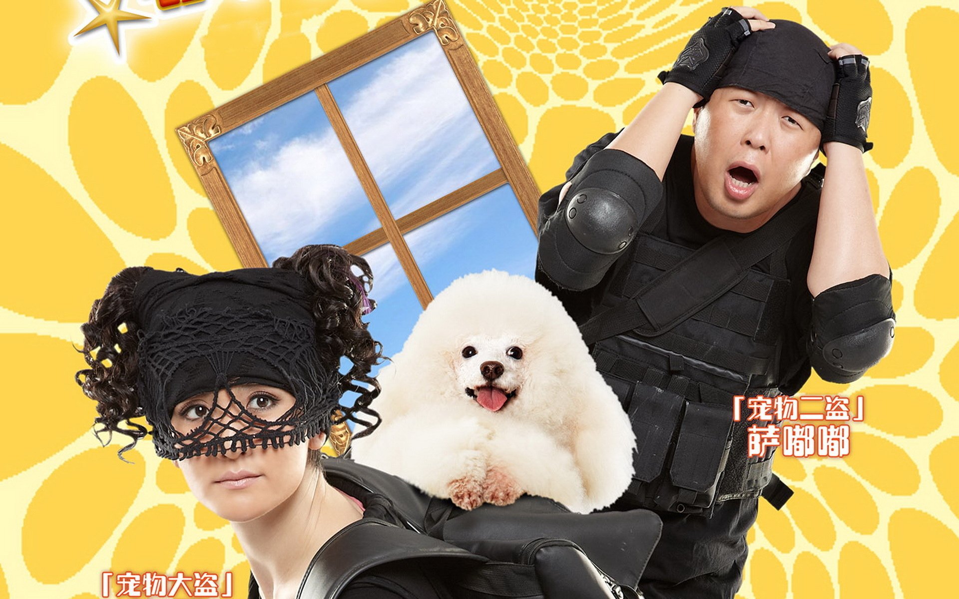 影视,快乐到家,1月25日