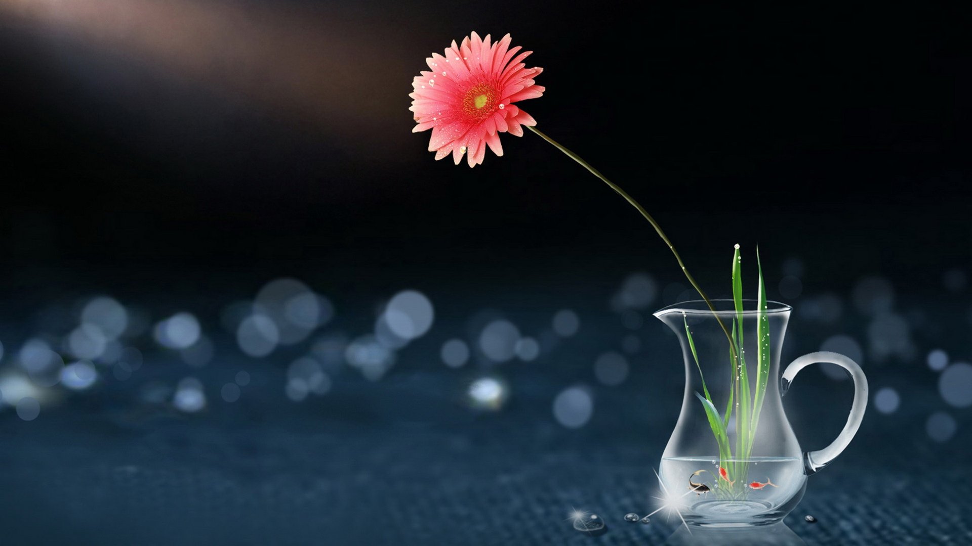 小清新,静物写真,1月15日,儿童桌面专用