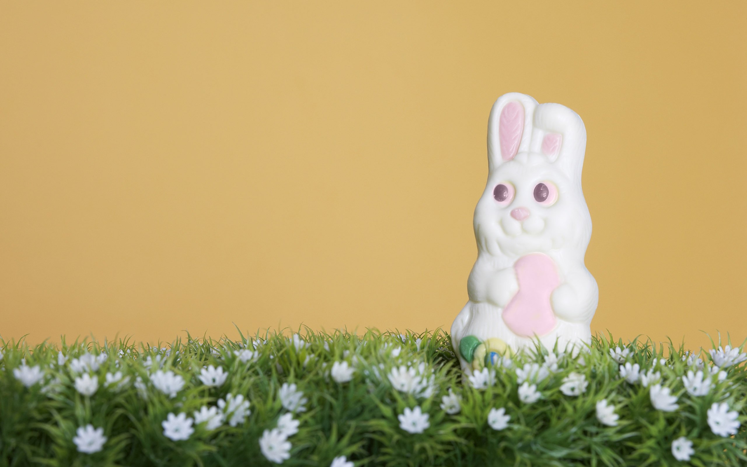 小清新,静物写真,1月22日,儿童桌面专用