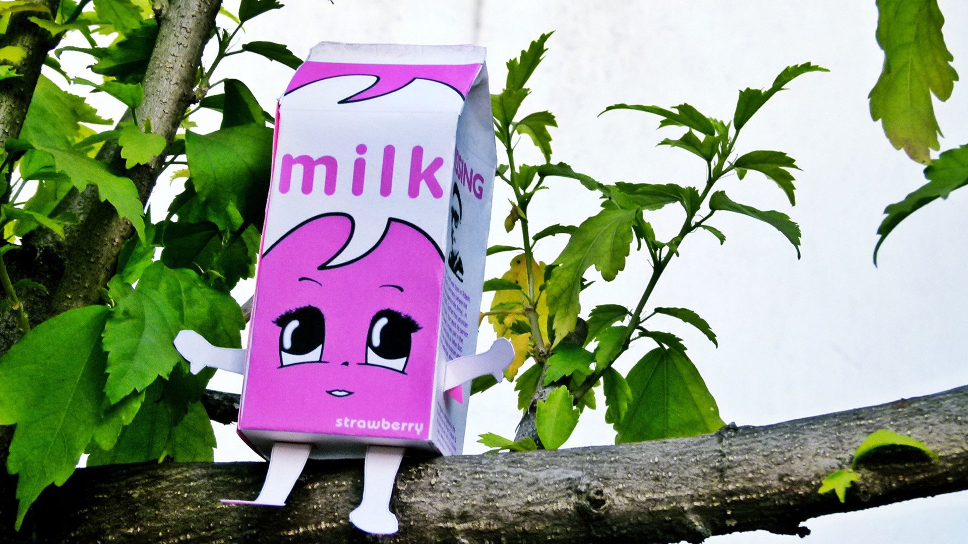 小清新,温馨一刻,1月15日,儿童桌面专用