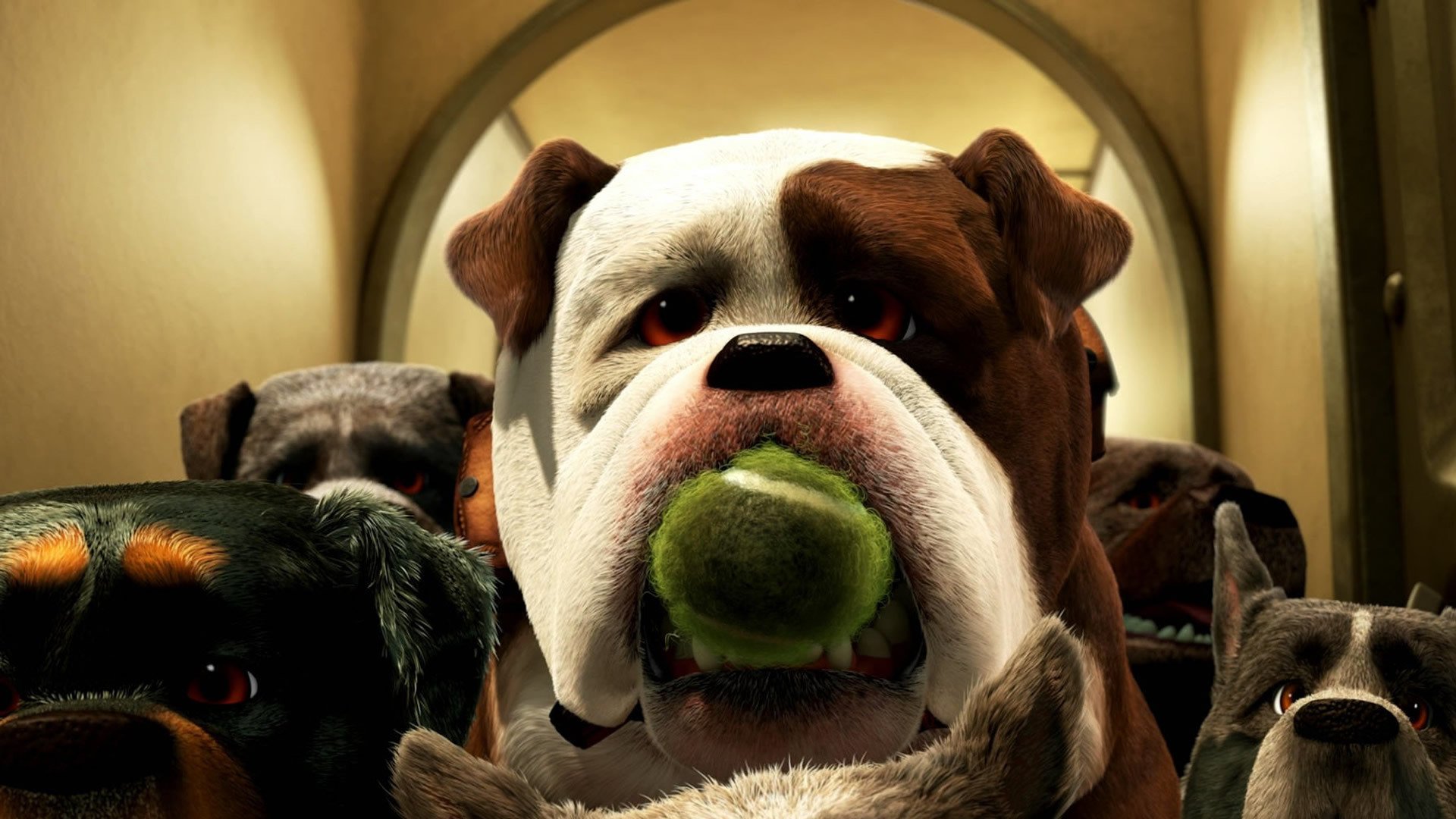 影视,飞屋环游记,1月29日