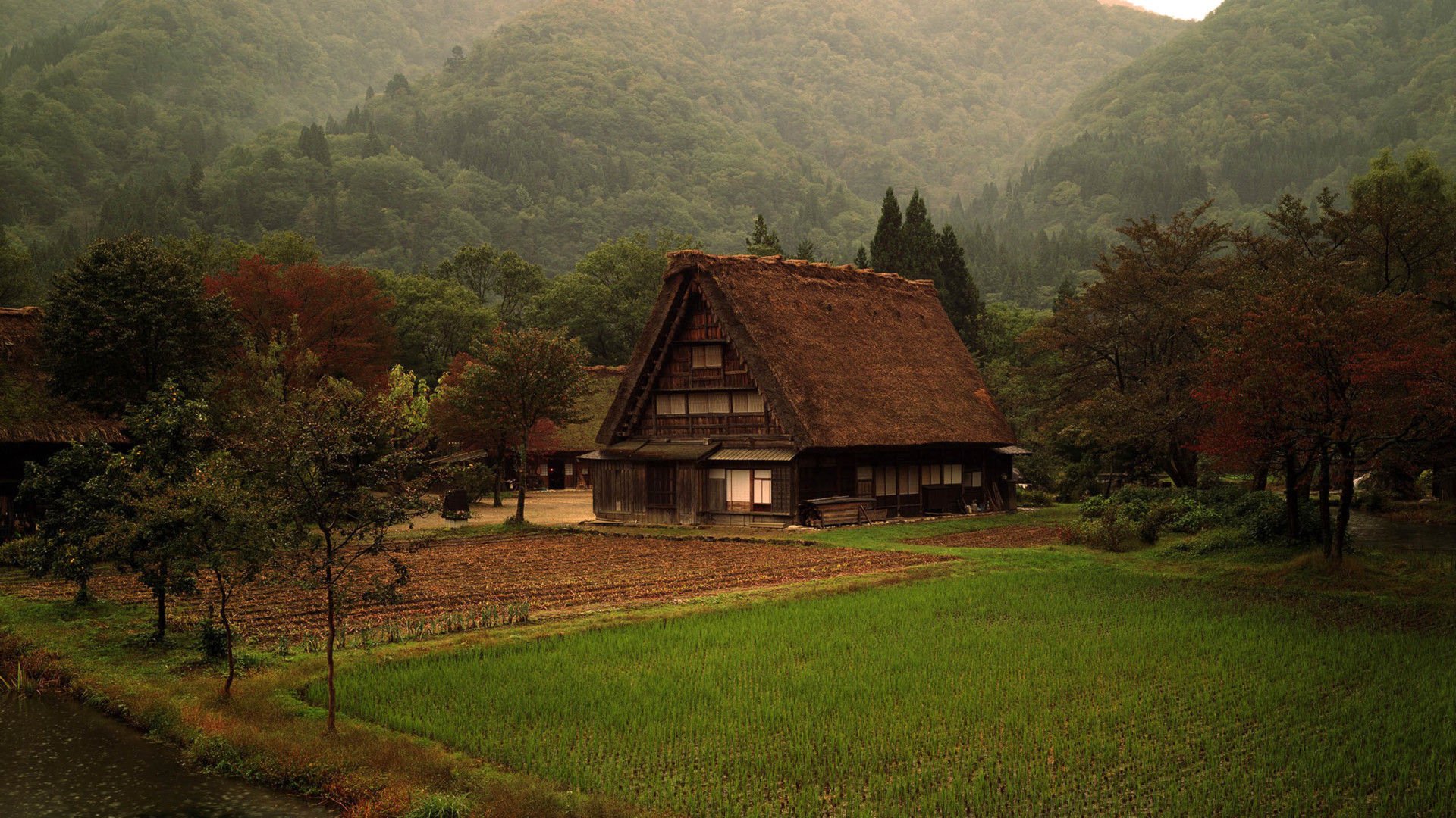 壮阔,风光,美景,旅游,自然,开阔风景,儿童桌面专用