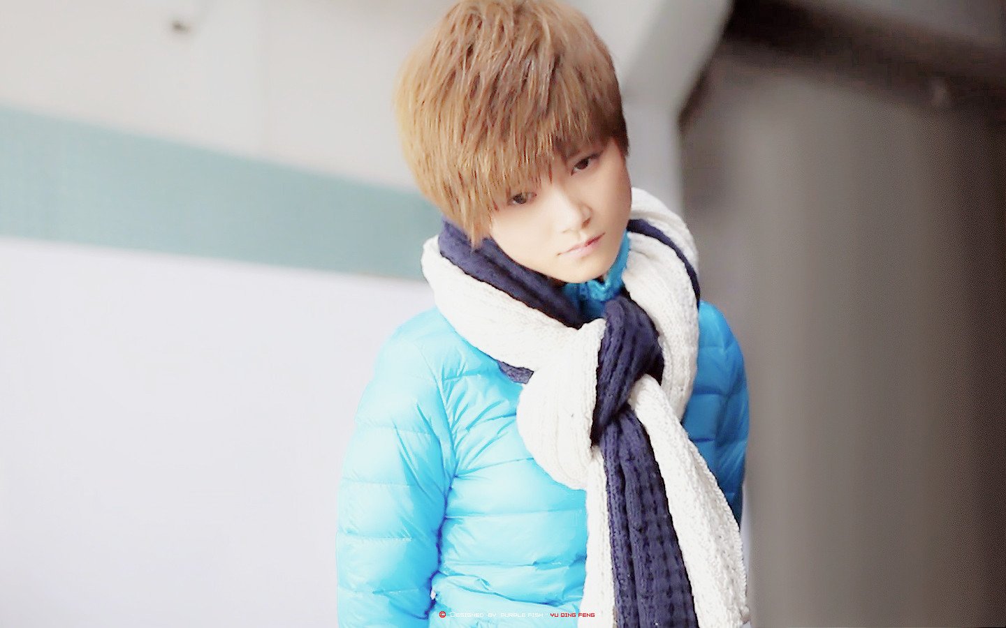 女明星,李宇春,一月十一日