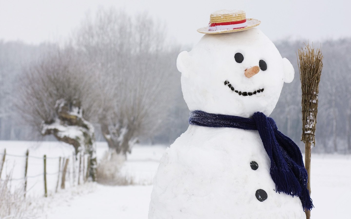 小清新,静物写真,雪人,1月16日,儿童桌面专用