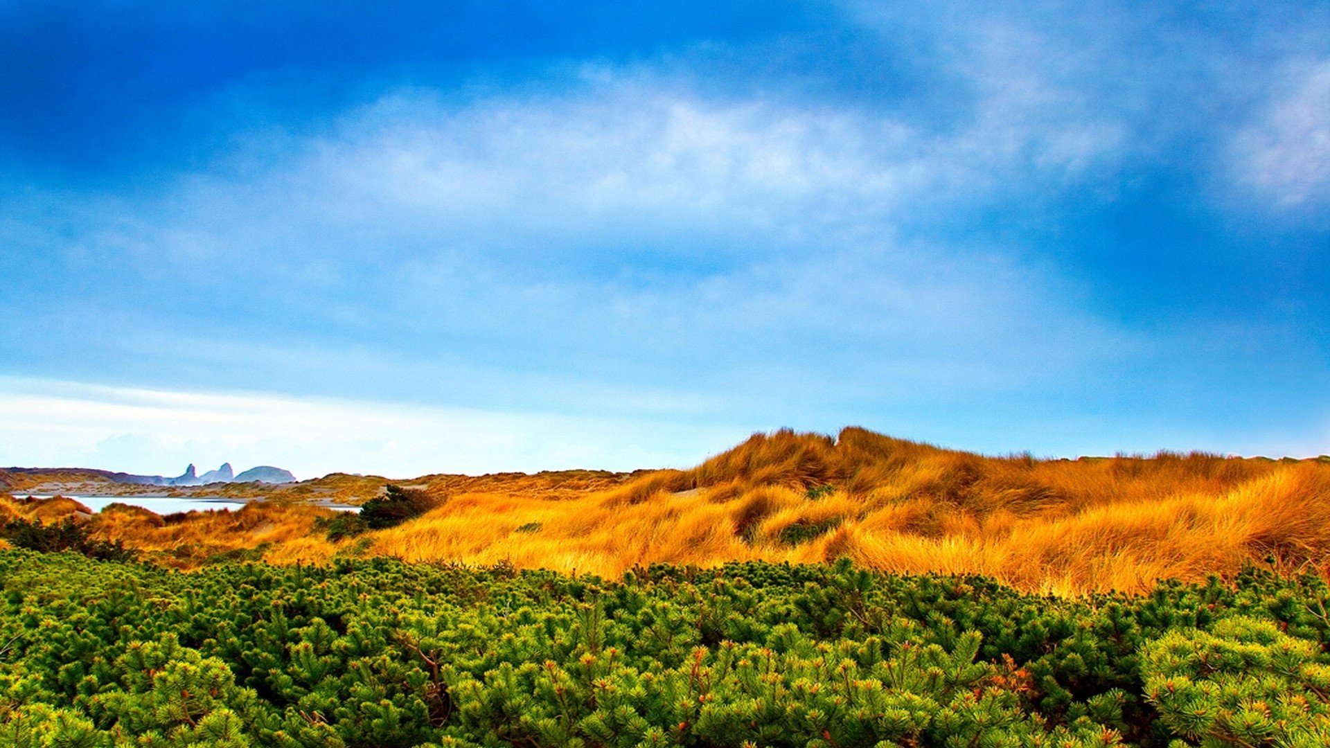 风景,风光,美景,旅游,自然,开阔风景,儿童桌面专用