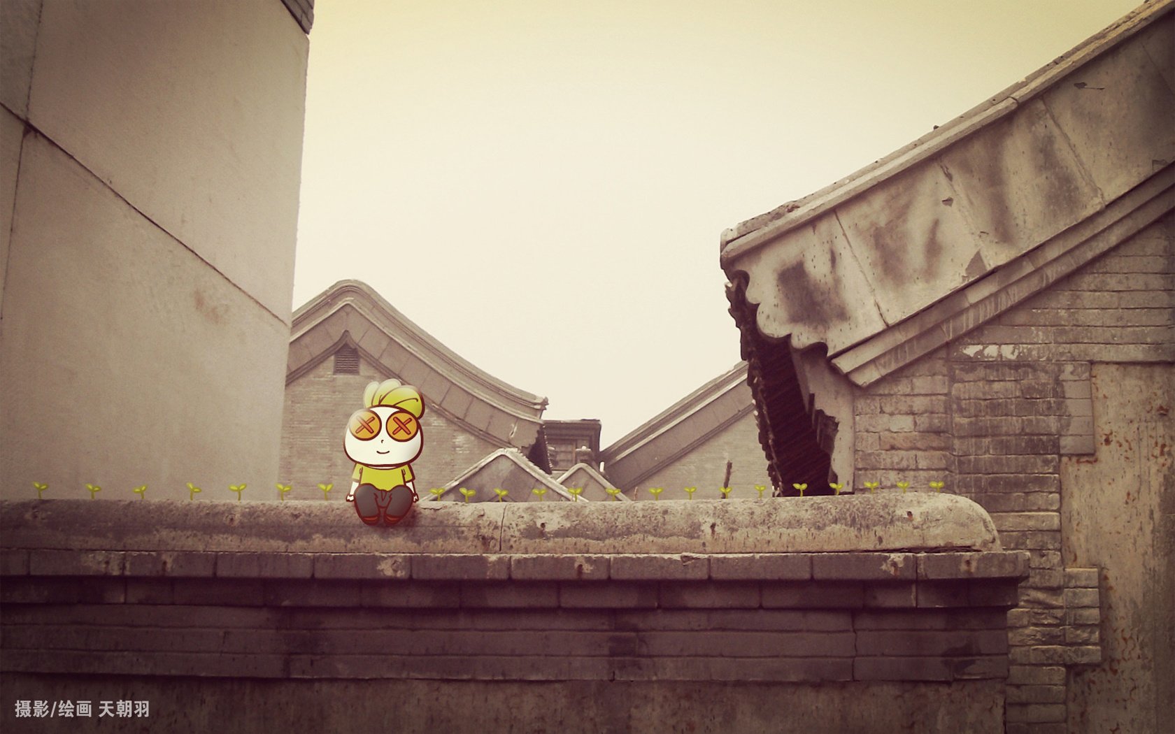 动漫,天朝羽,原创,360壁纸,墙头草,儿童桌面专用