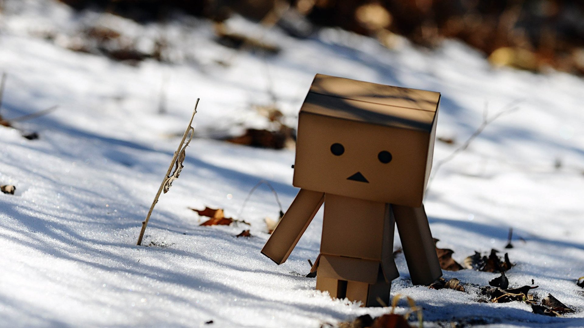 小清新,温馨一刻,纸箱人,1月30日,儿童桌面专用