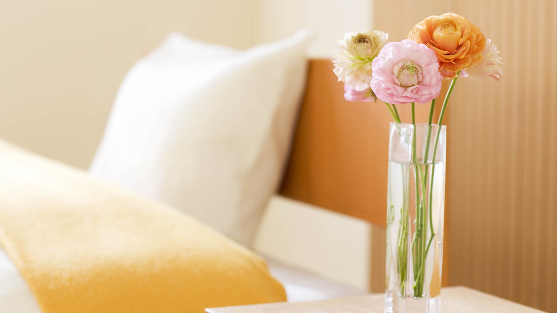 小清新,静物写真,花瓶,1月25日,儿童桌面专用