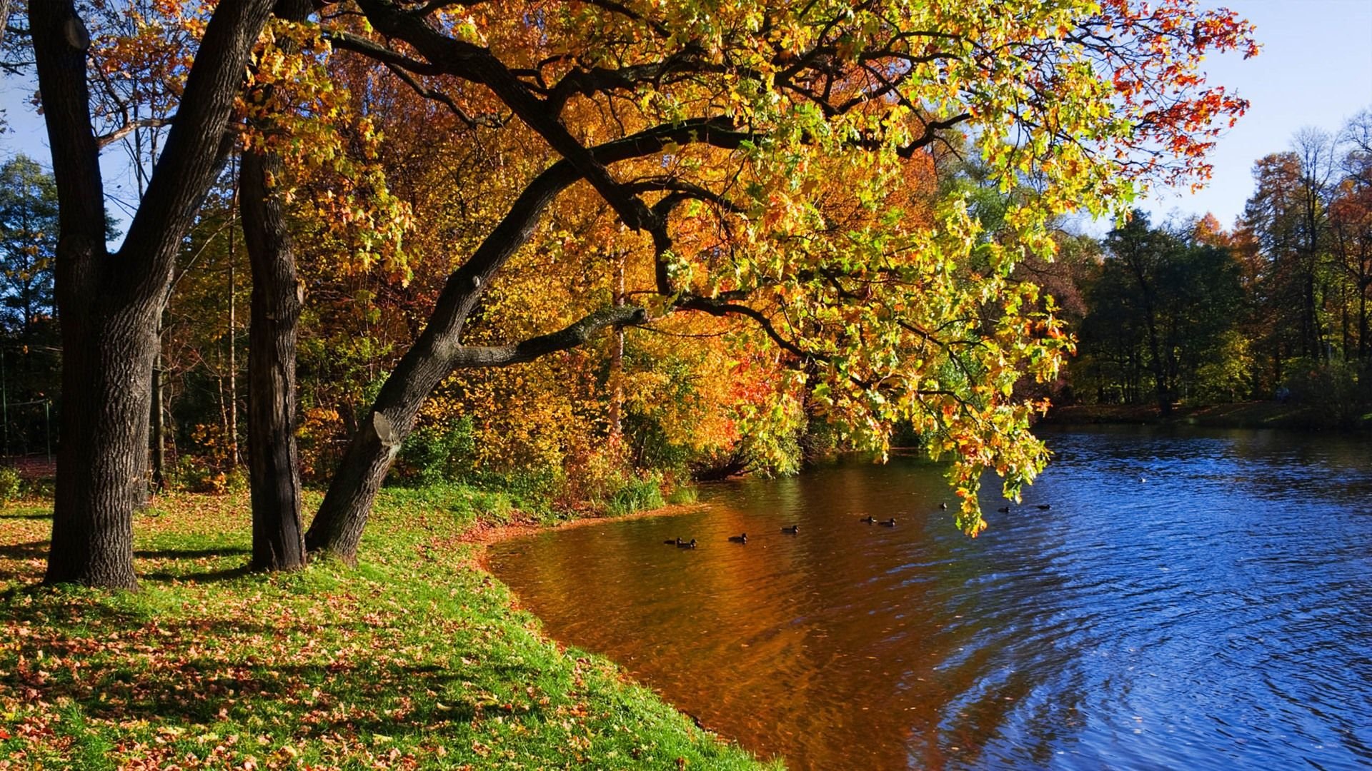 壮丽,风光,美景,旅游,自然,开阔风景,儿童桌面专用