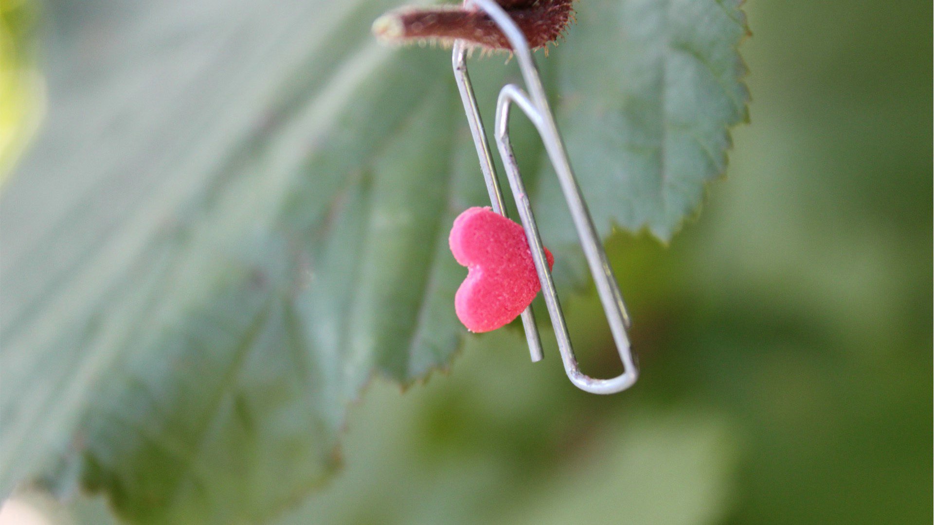 爱情美图,唯美温馨,别针,爱心