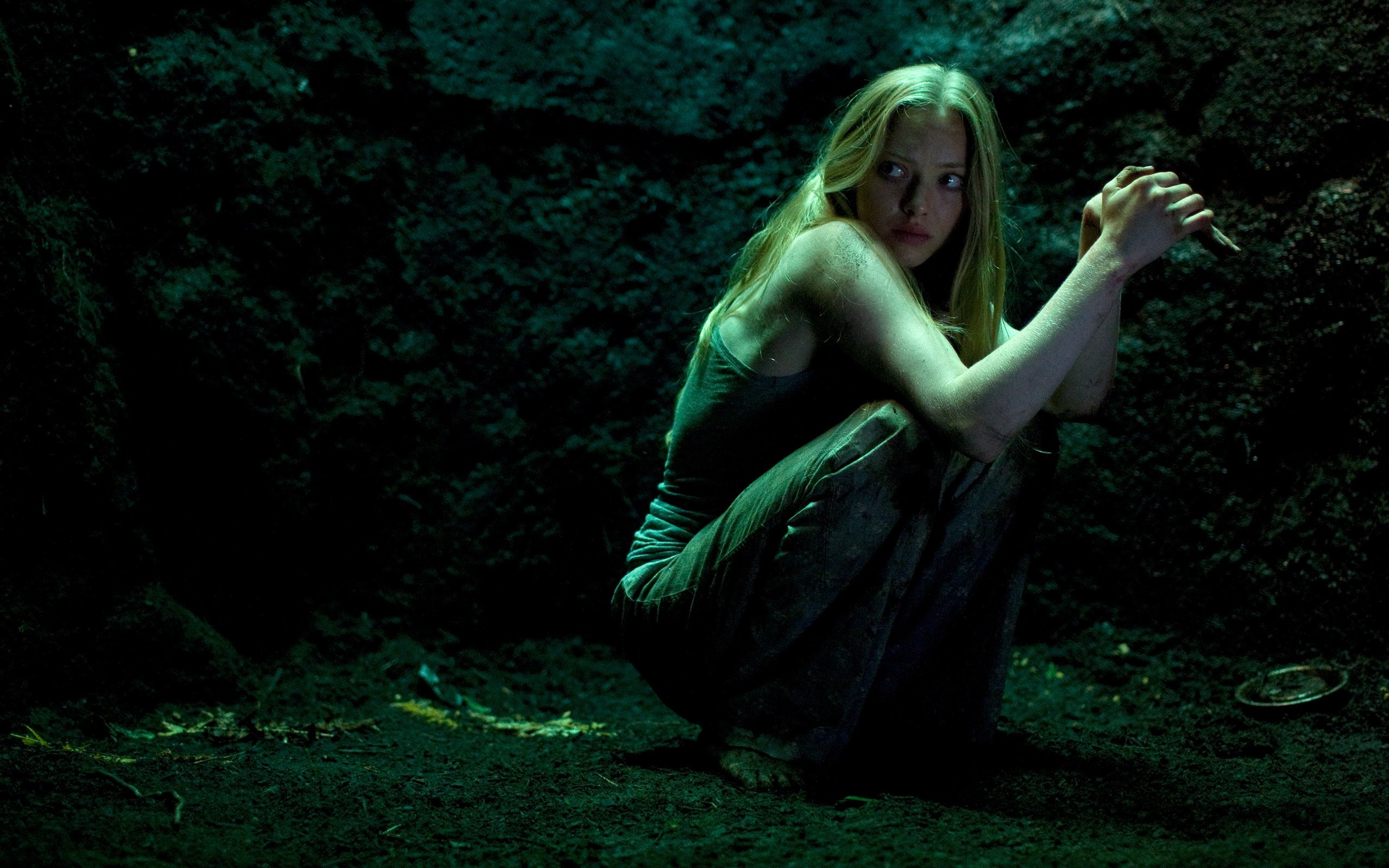 影视,夺命追踪,阿曼达塞弗里德,1月21日