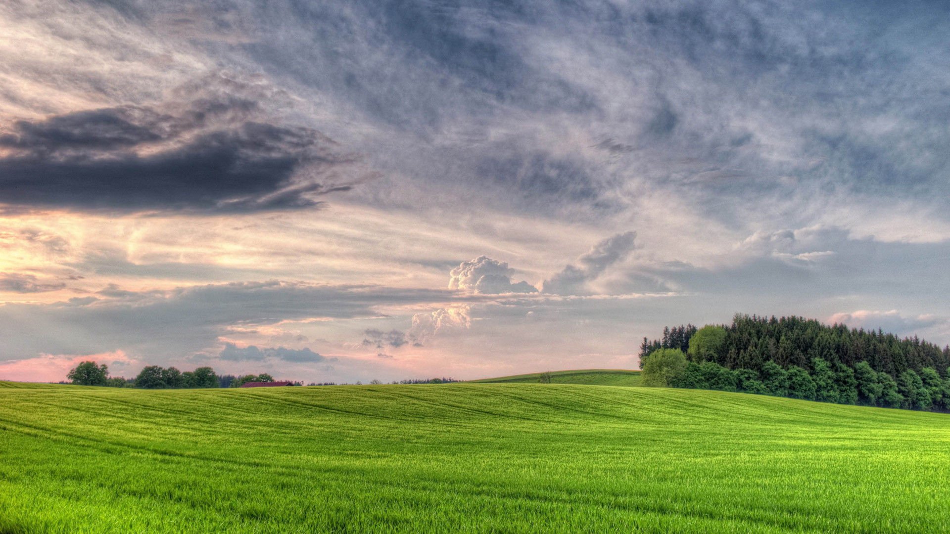 开阔,风景,阳光,大气,风光,碧绿草原,儿童桌面专用