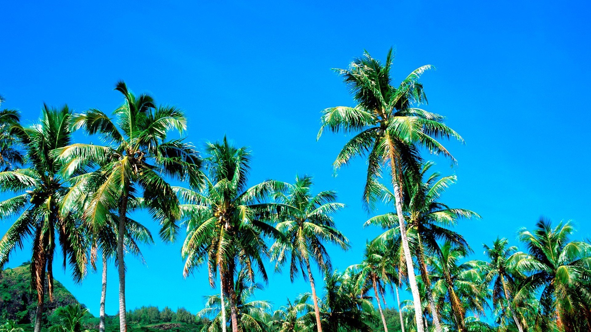 风景,风光,美景,旅游,自然,开阔风景,儿童桌面专用