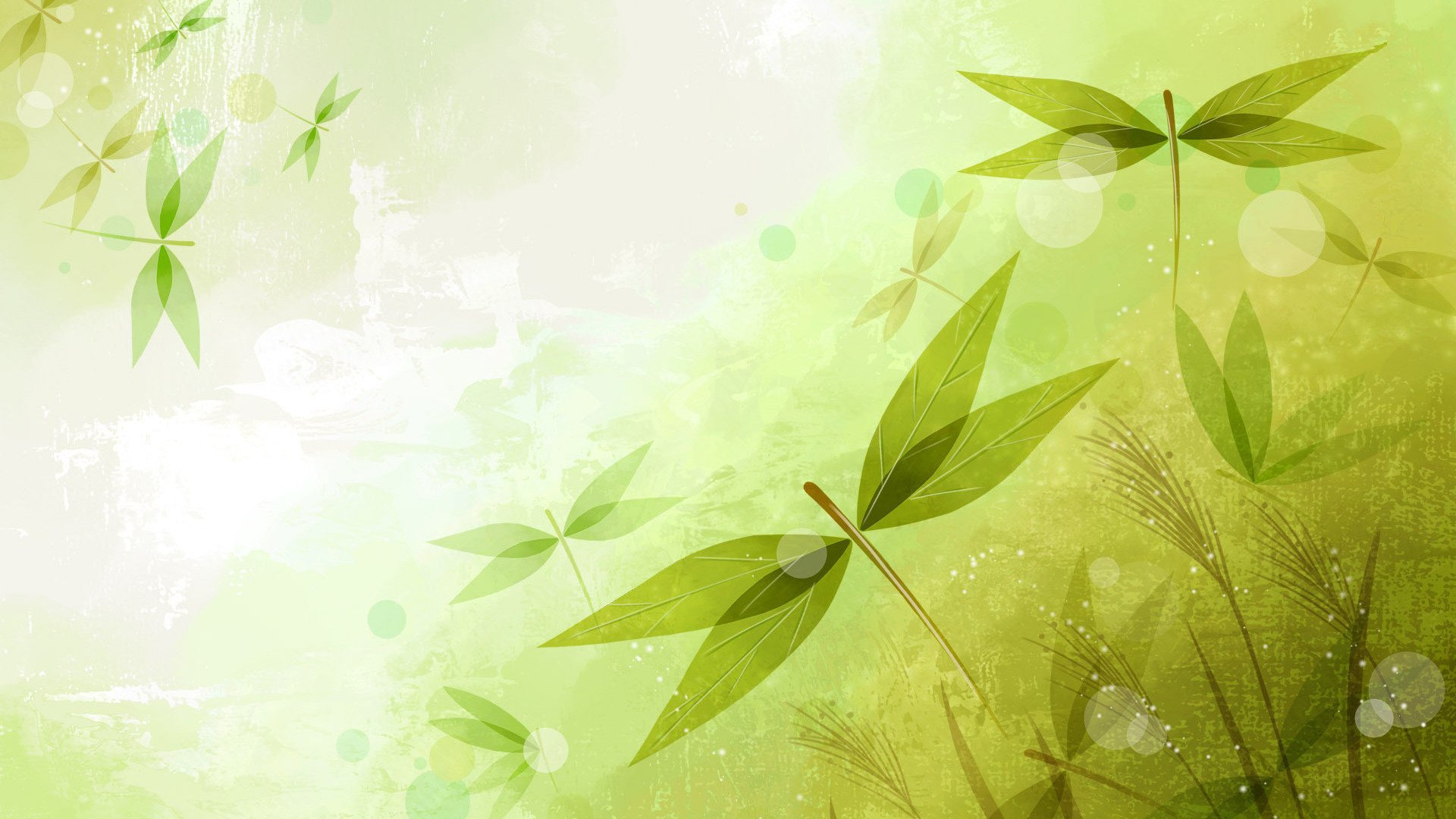 小清新,护眼壁纸,绿色,2月1日,儿童桌面专用