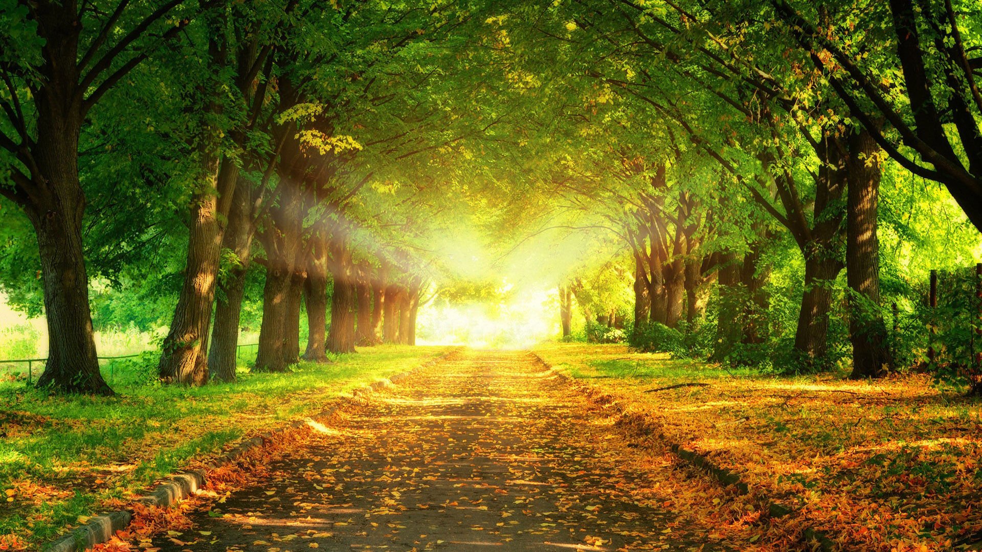 风光,美景,旅游,自然,蔚蓝,儿童桌面专用