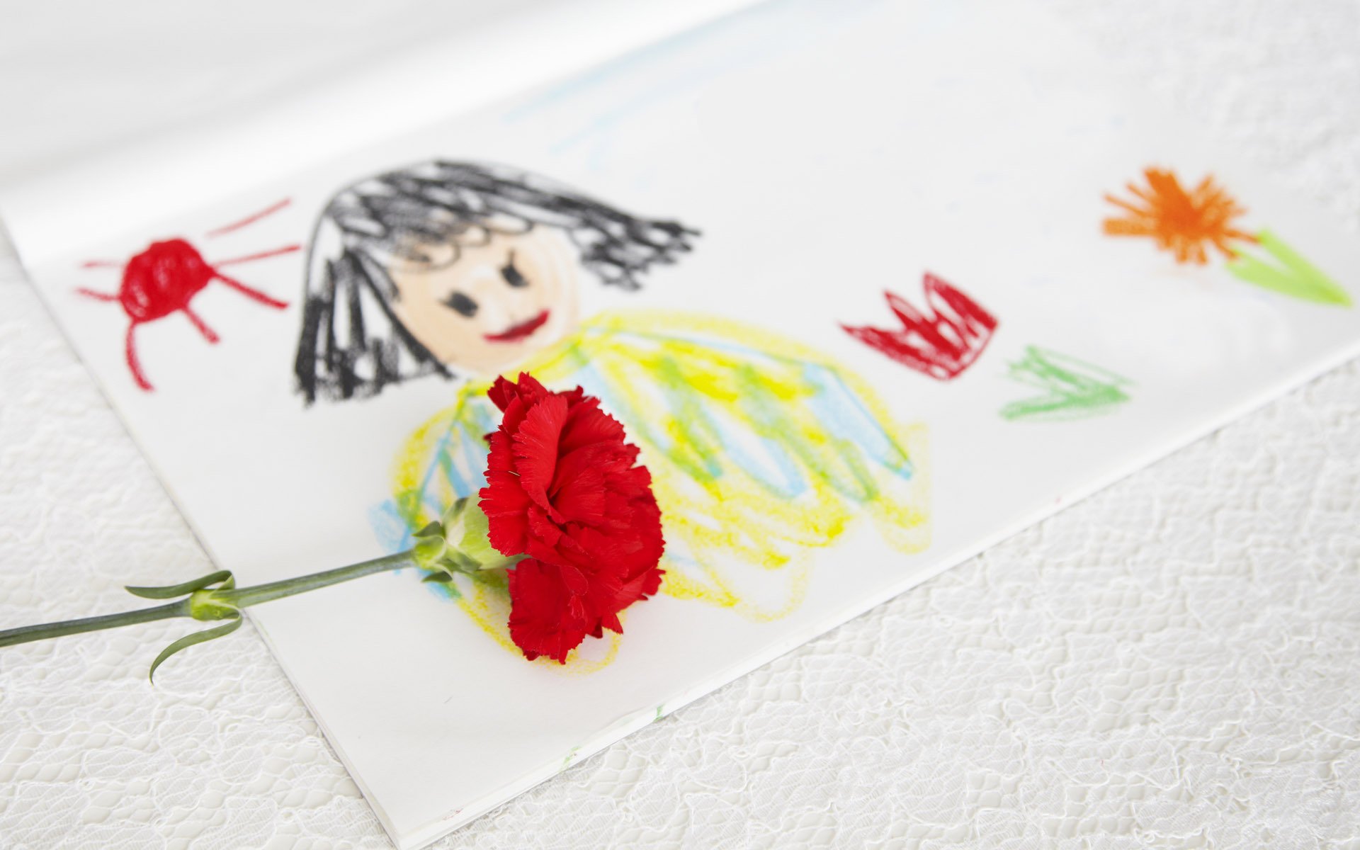 小清新,静物写真,花卉,2月26日,儿童桌面专用