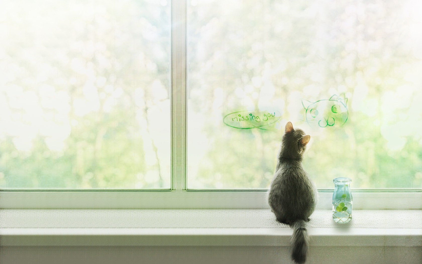 萌宠,喵星人,猫,可爱,卖萌,儿童桌面专用