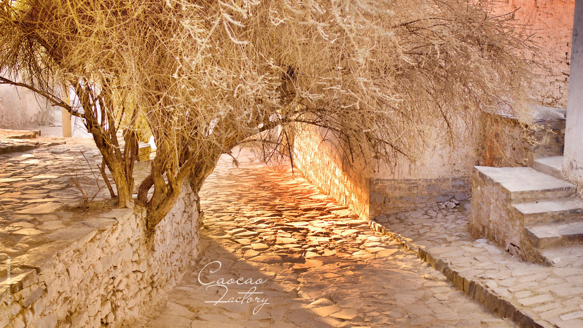 风景,旅游胜地,西藏摄影,caocaofactory,末日藏行记,儿童桌面专用