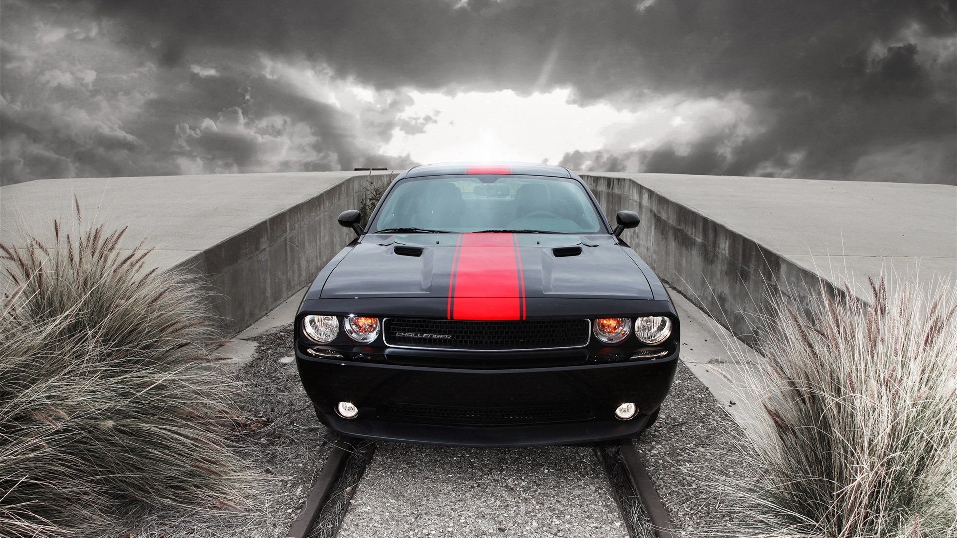 汽车,超跑,福特,野马,黑色,儿童桌面专用