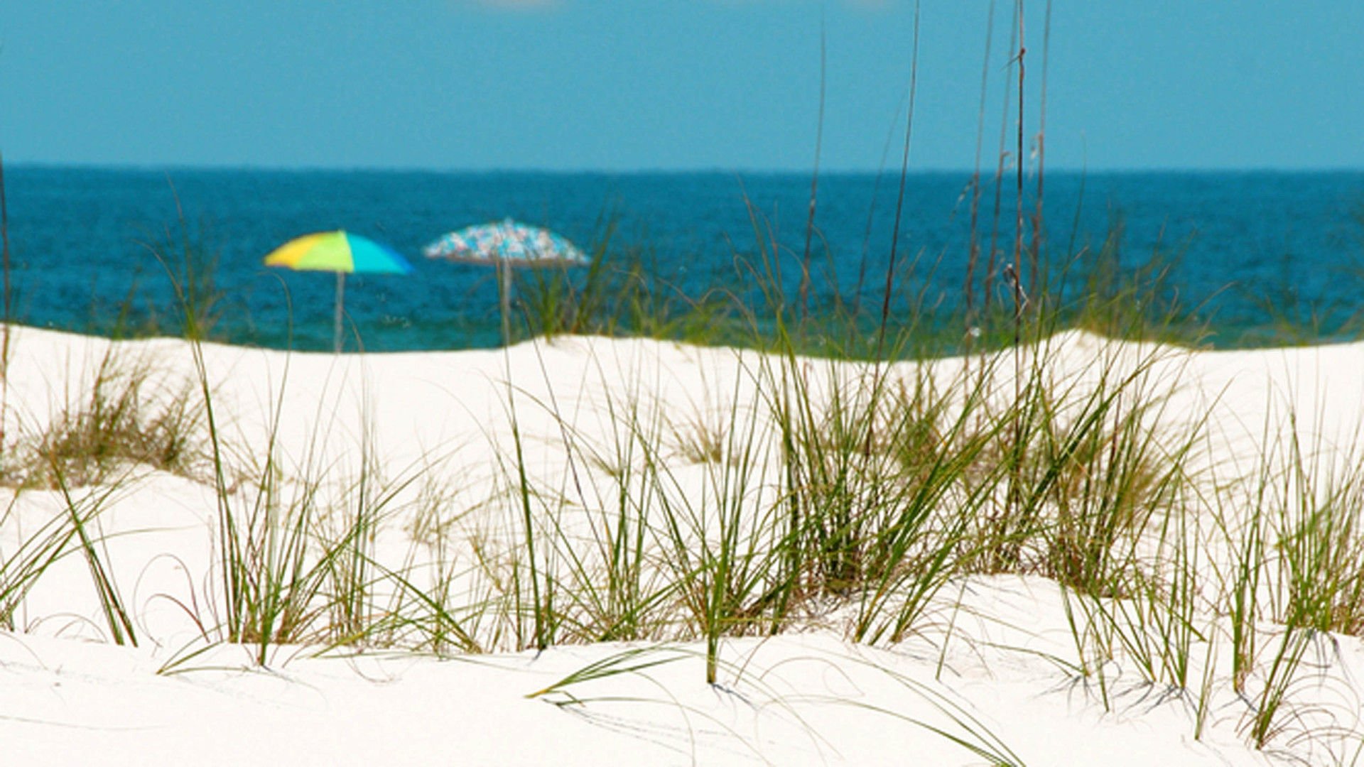 风景,风光,美景,旅游,自然,儿童桌面专用