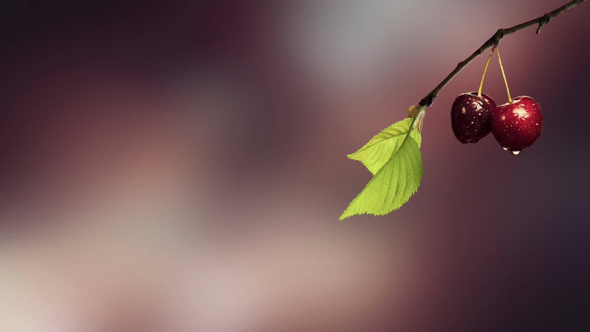 小清新,静物写真,果实,2月16日,儿童桌面专用