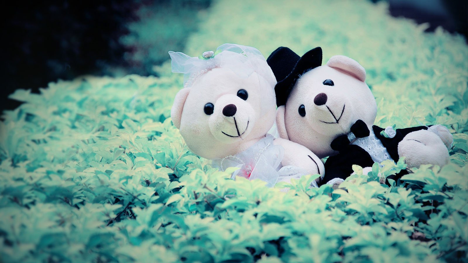 爱情美图,唯美温馨,结婚,维尼熊