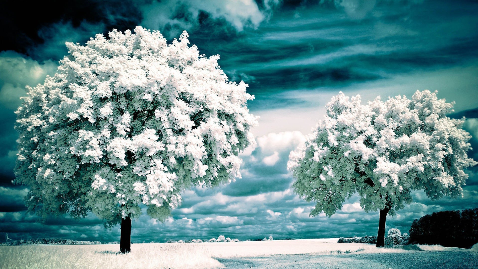 风景,风光,美景,旅游,自然,儿童桌面专用