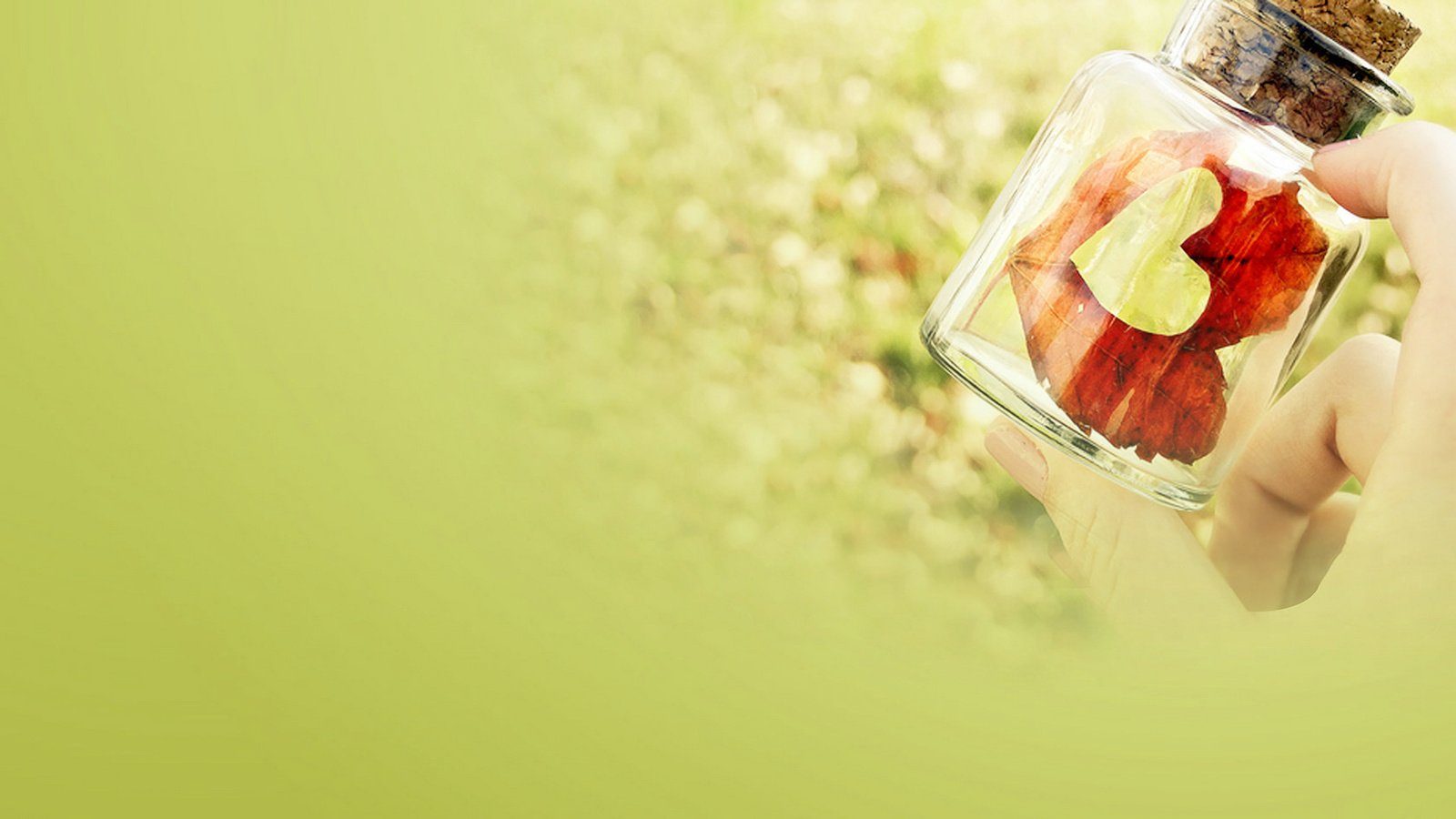 爱情美图,唯美温馨,浪漫,许愿瓶