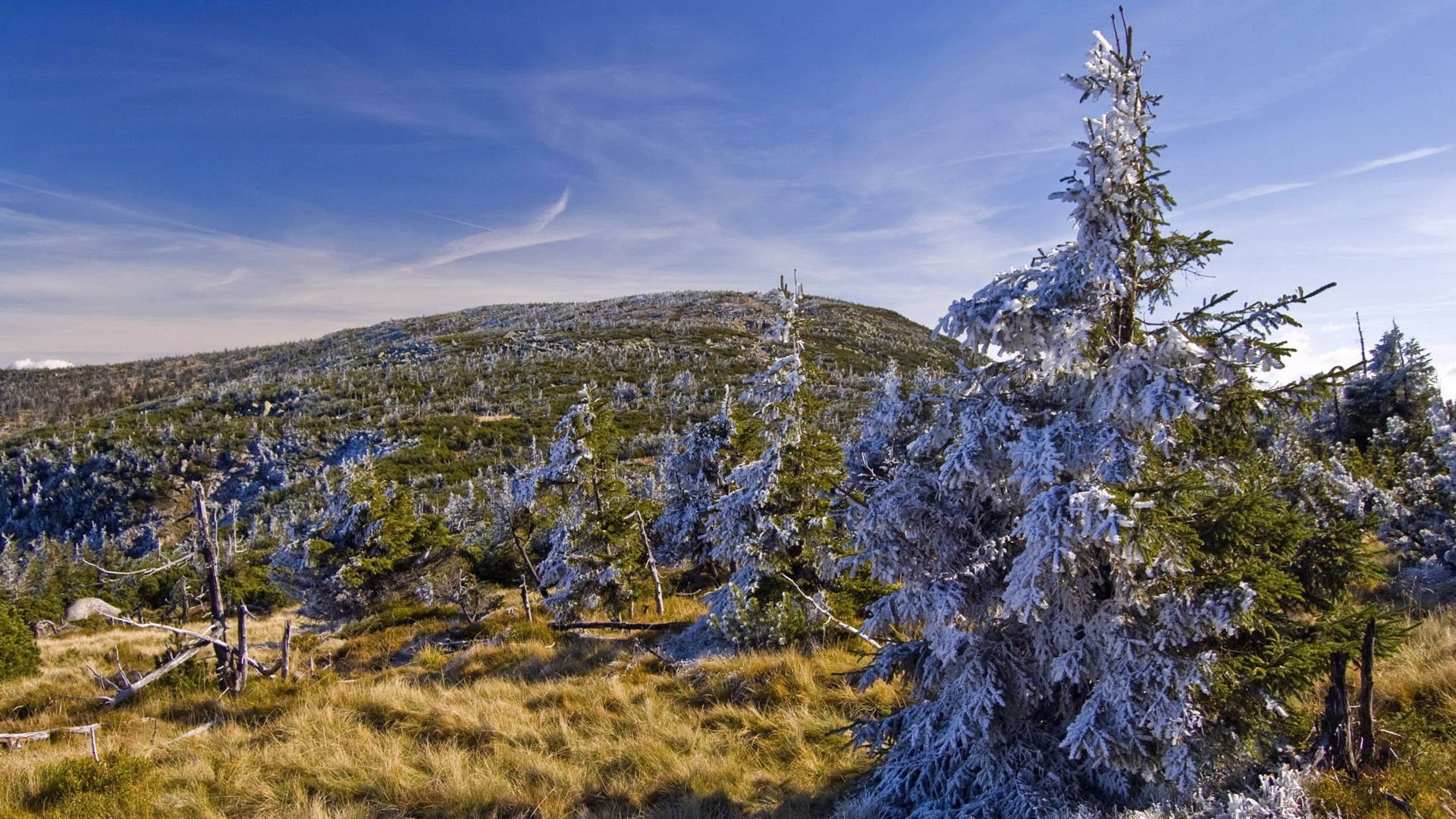 风景,风光,美景,旅游,自然,儿童桌面专用