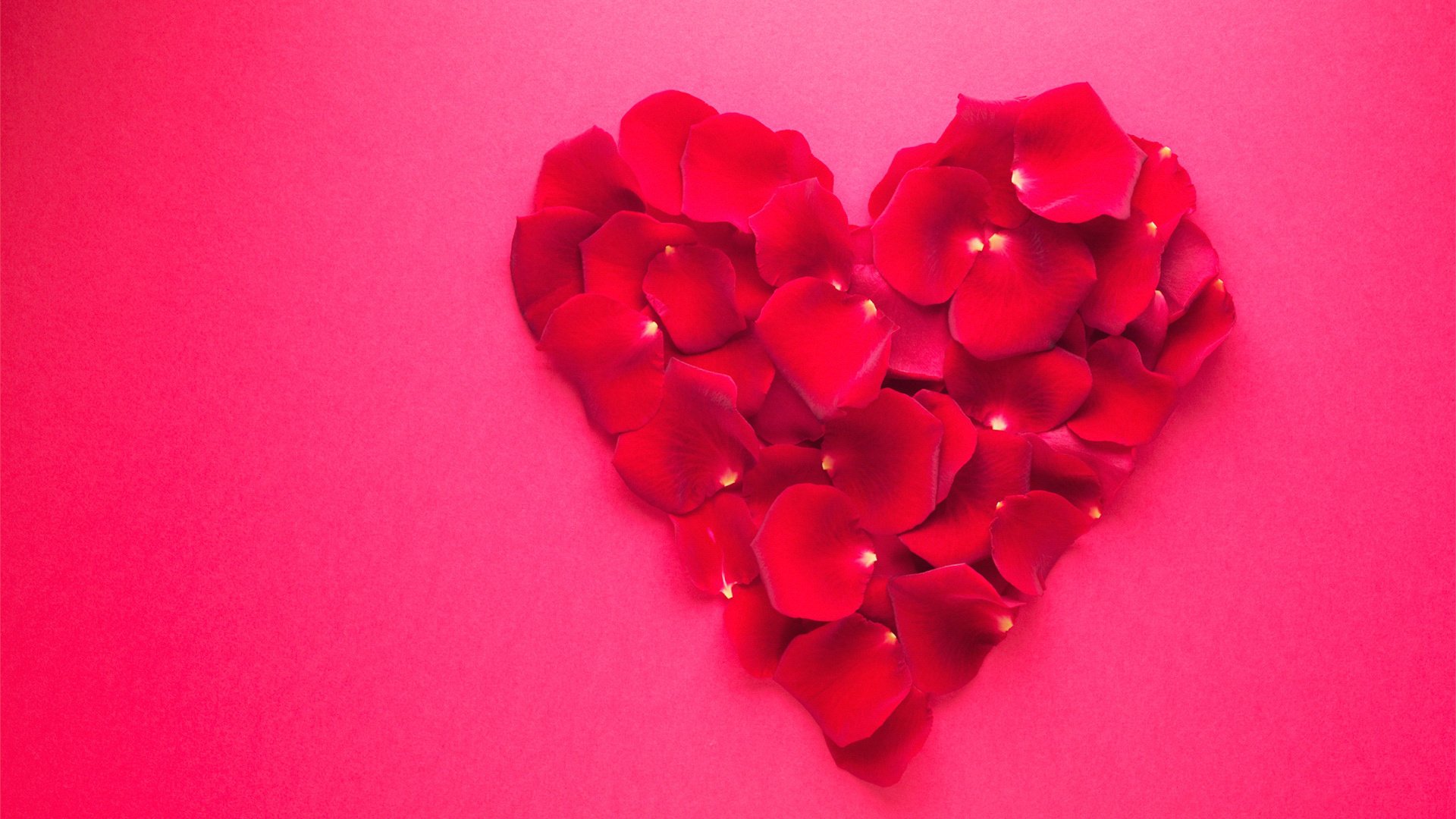 爱情美图,心动创意,玫瑰花心