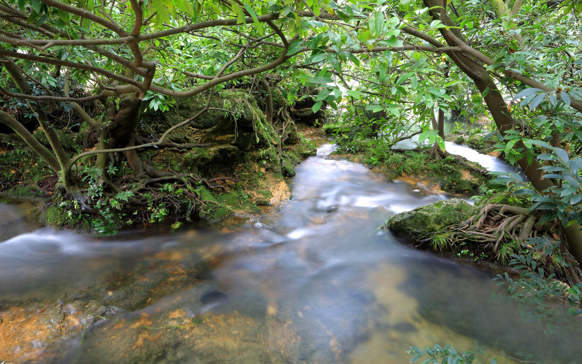 水,河流,清新,景象,风景,风光,美景,旅游,自然,儿童桌面专用