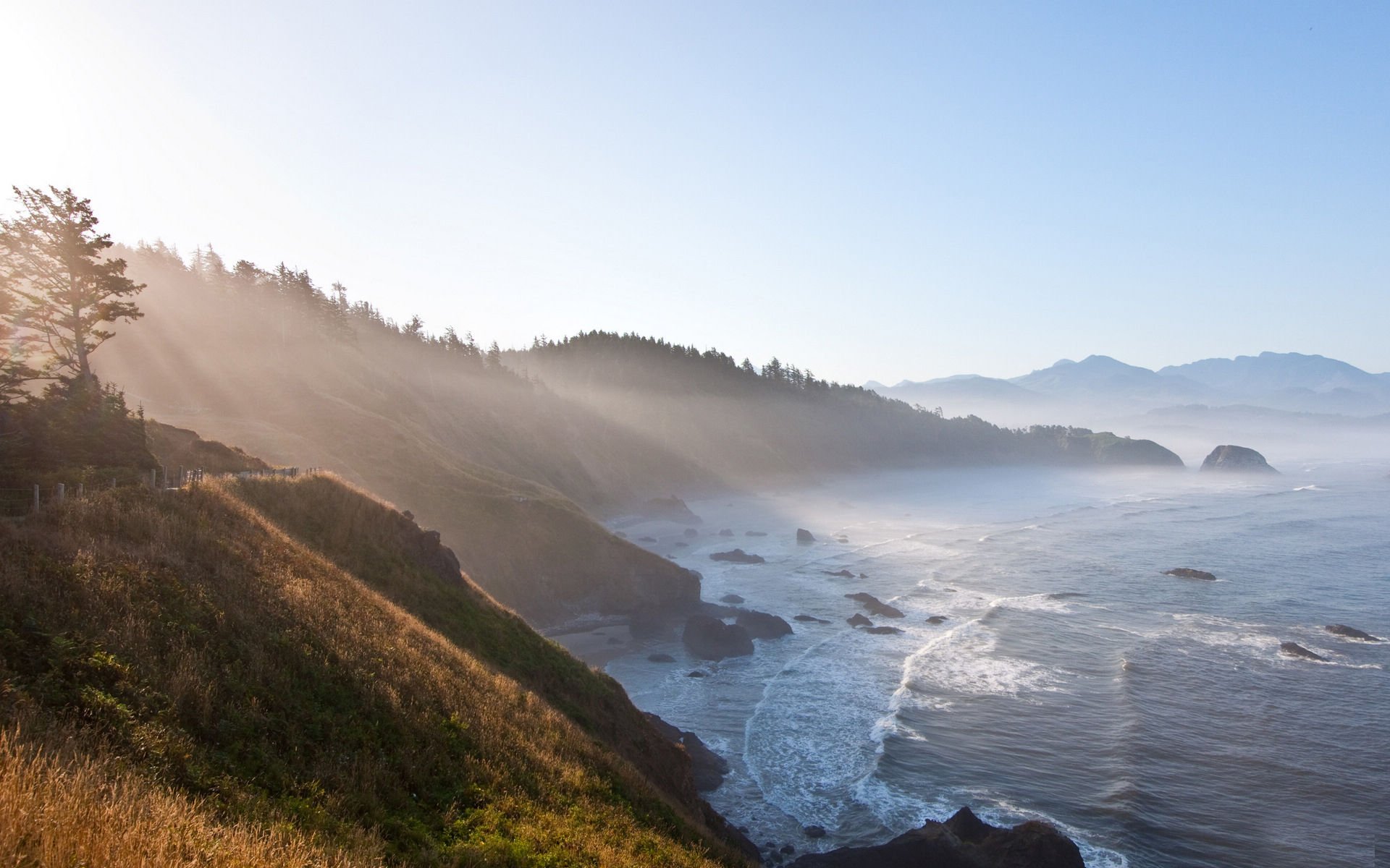 雾都,雾,风景,风光,美景,旅游,儿童桌面专用