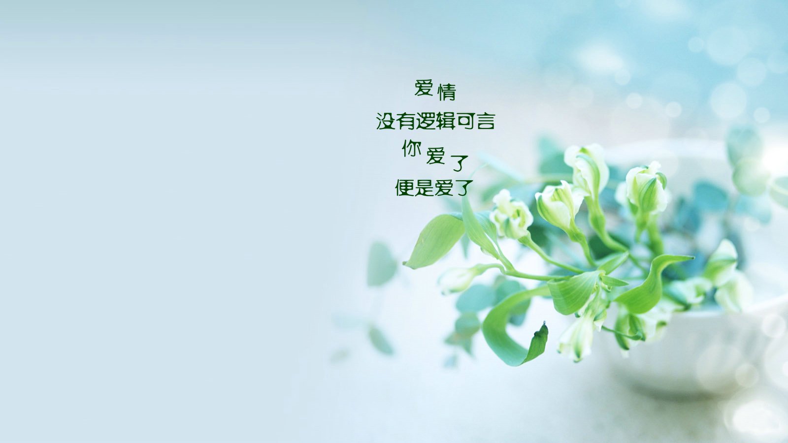 爱情美图,唯美温馨,爱情没有逻辑