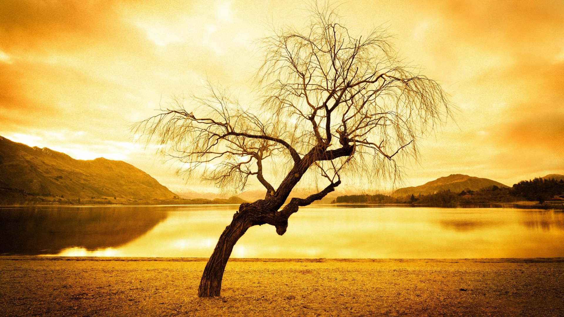 秀丽景色,风景,风光,美景,旅游,自然,儿童桌面专用