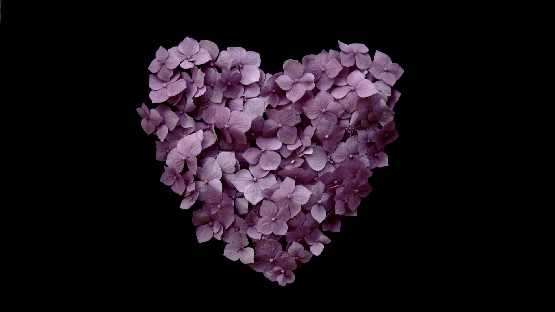 爱情美图,心动创意