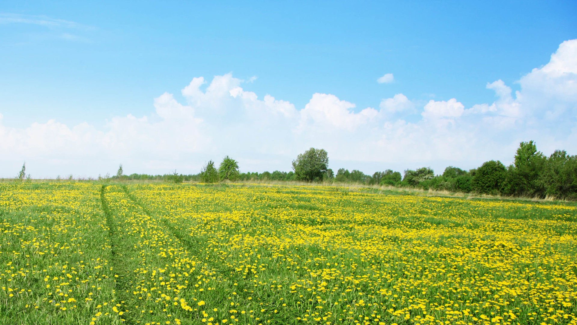 风景,风光,美景,旅游,自然,儿童桌面专用