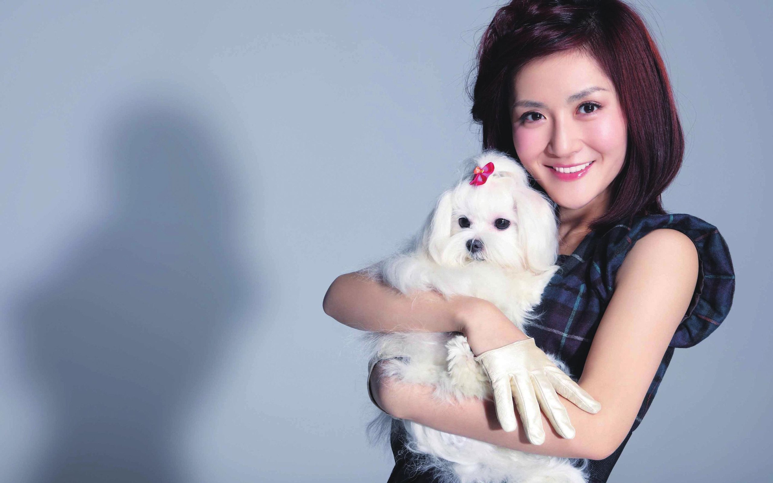 女明星,谢娜,2月17日