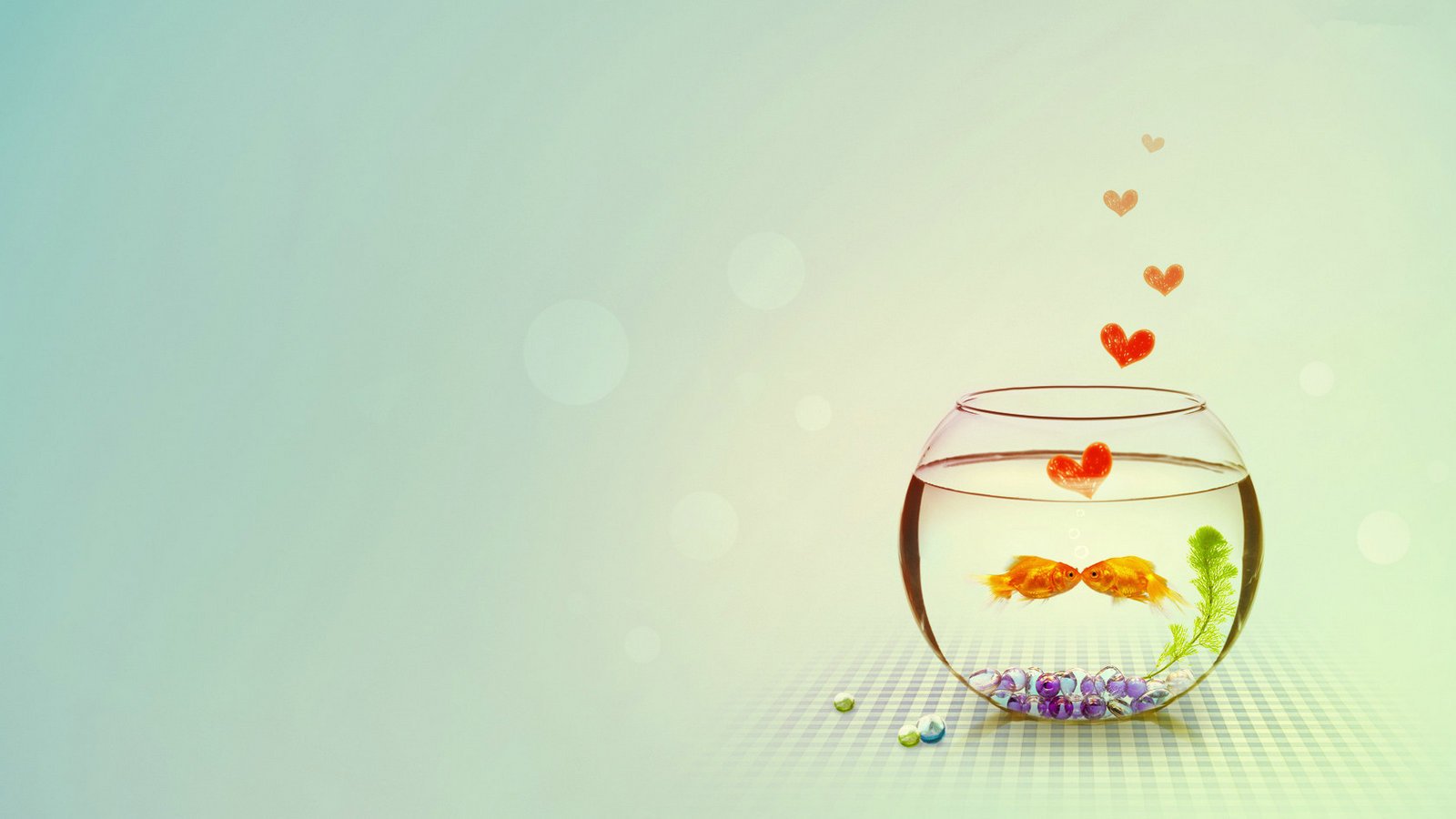 爱情美图,唯美温馨,恩爱