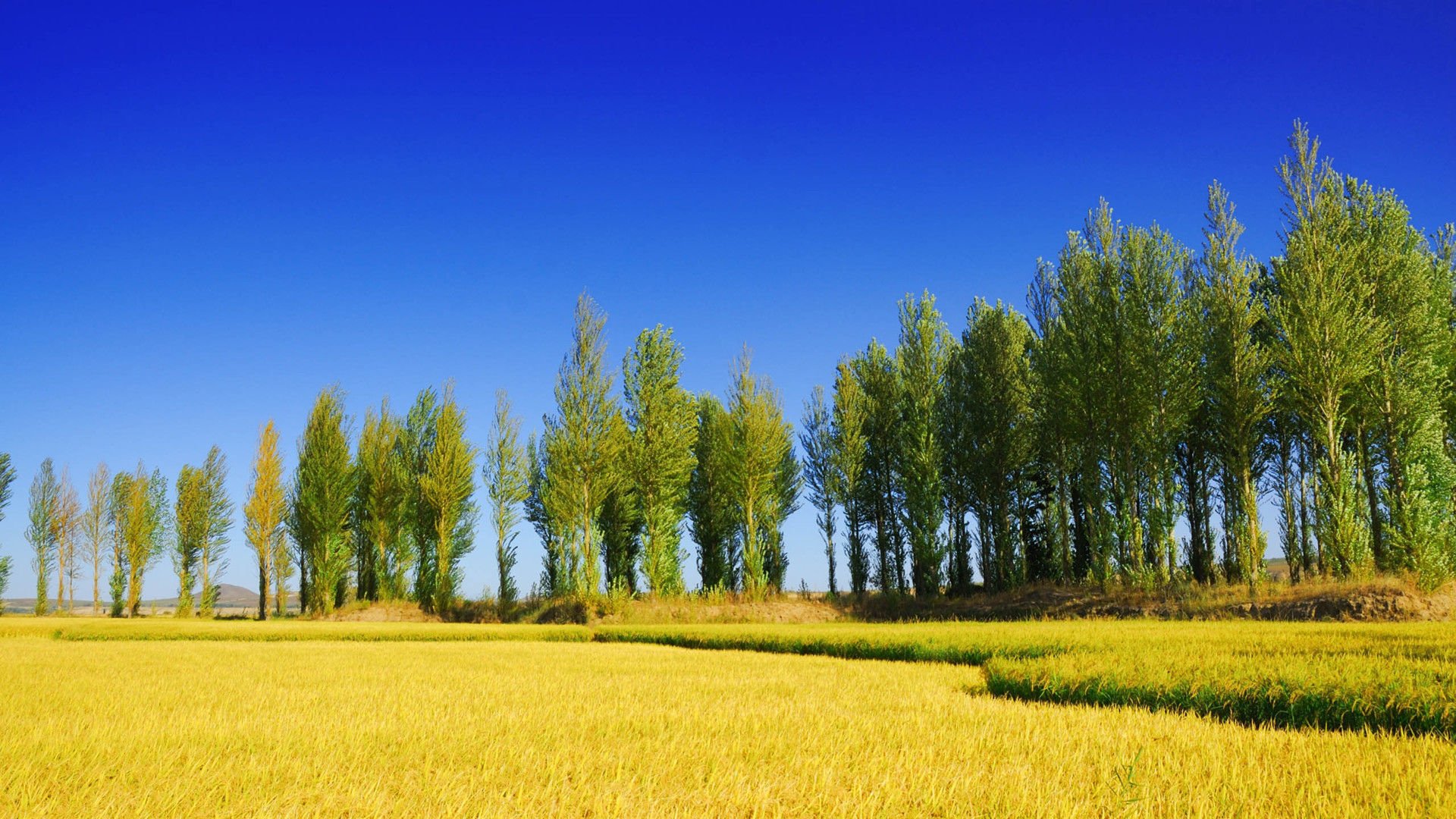 风景,风光,美景,旅游,自然,儿童桌面专用