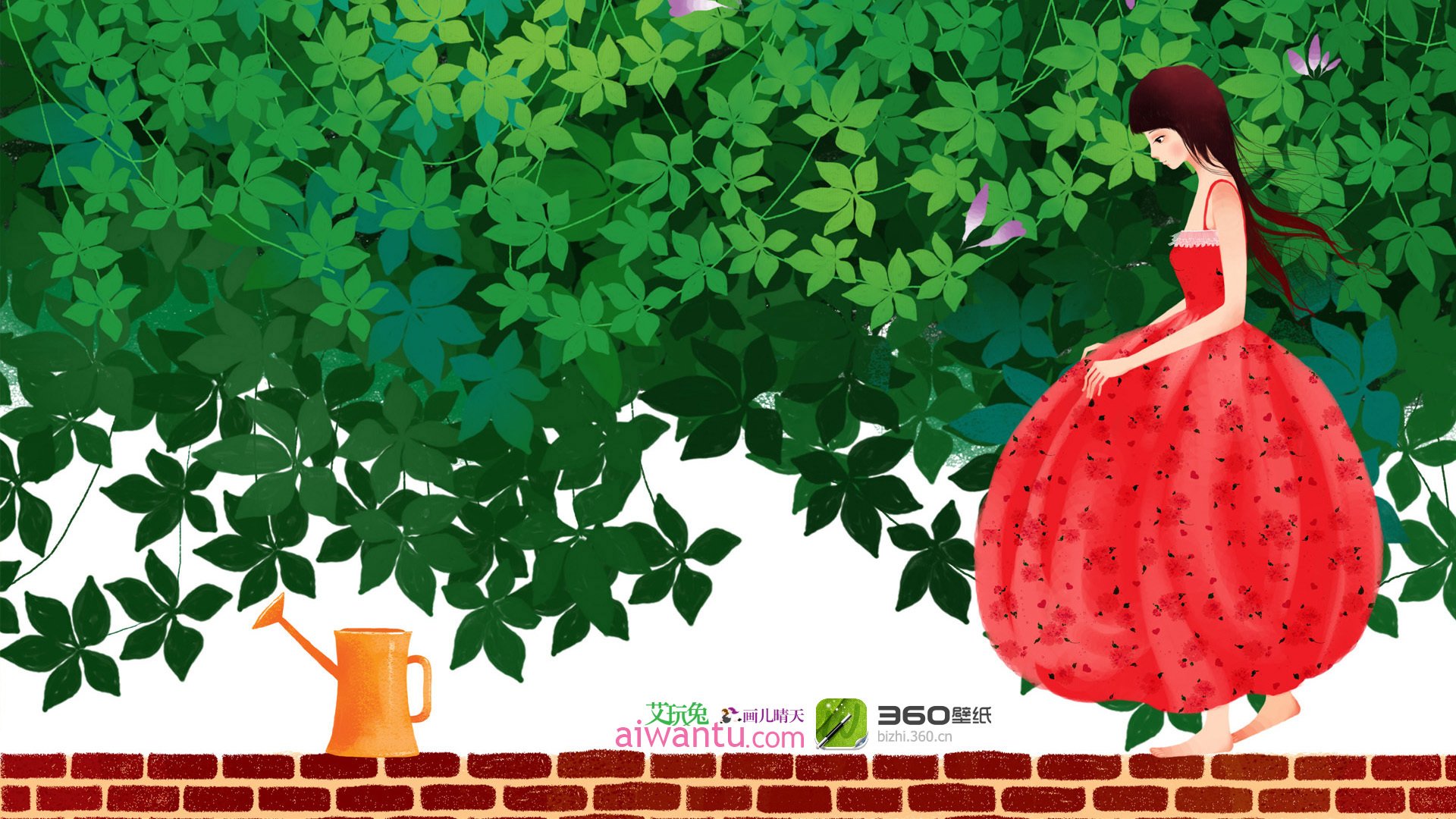 动漫,卡通,插画,手绘,画儿晴天,牵牛花,儿童桌面专用